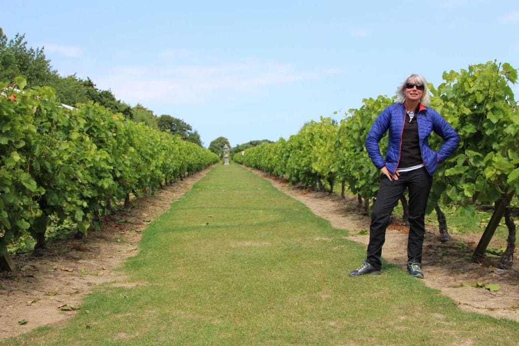 What to see on Jersey: La Mare vineyard