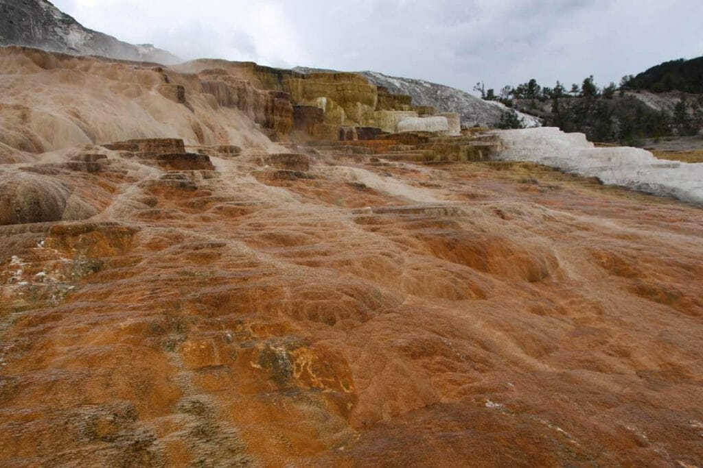 Colourful mineral deposits at Mammoth Hot Springs