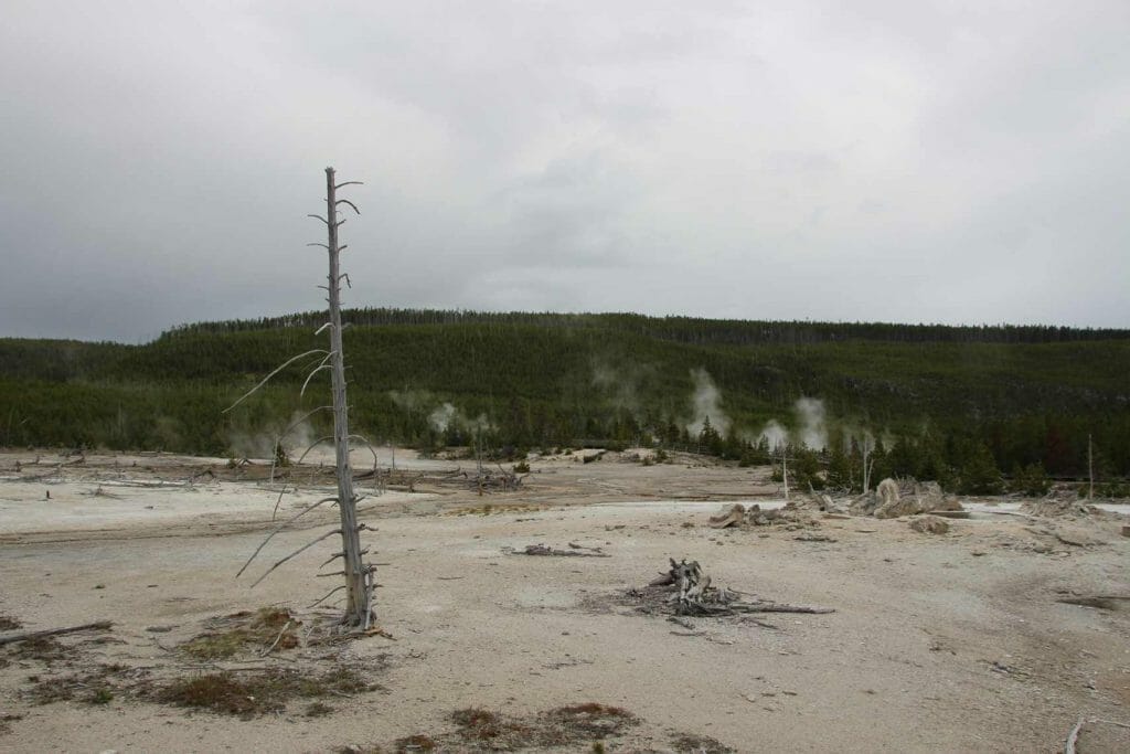 Wasteland view