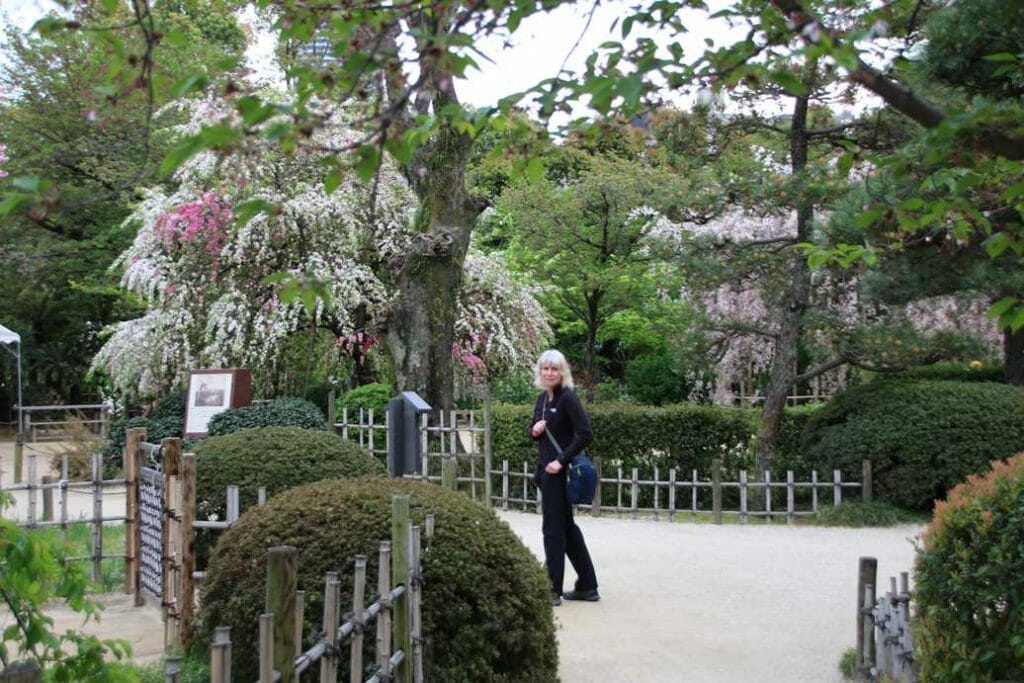 In a Japanese garden