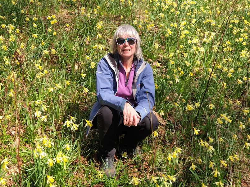 Daffodils in Dora's Field