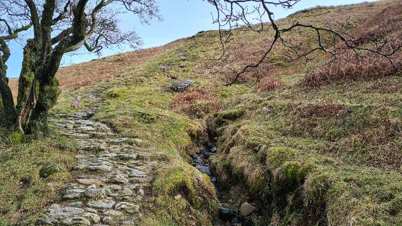 Stone path leading up the hill on Wansfell Pike