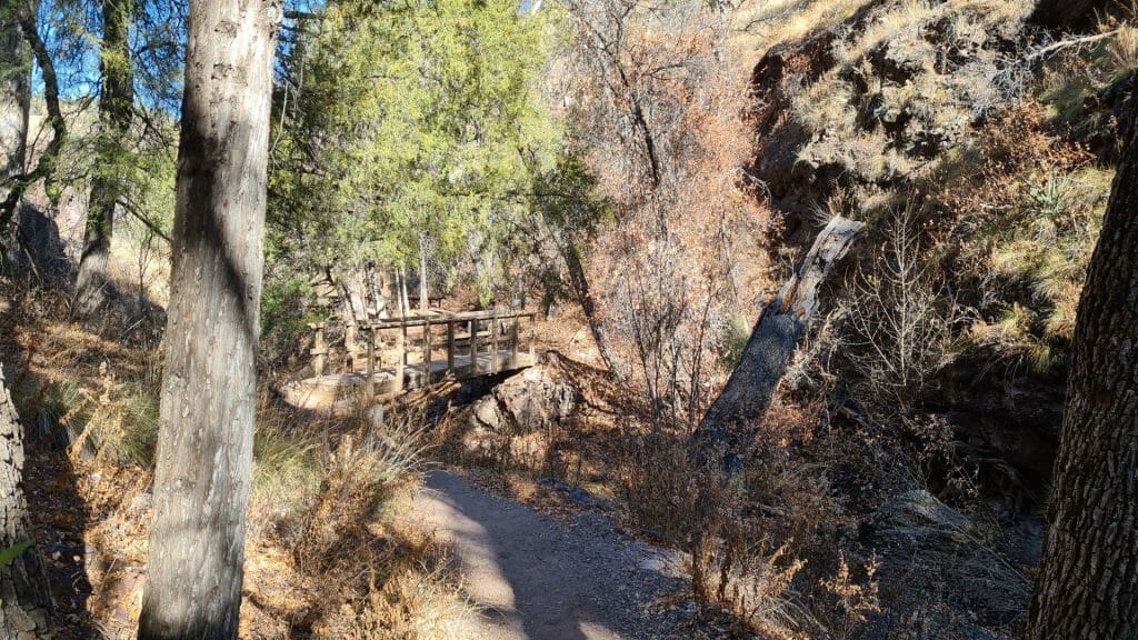 Wooden bridge on trail