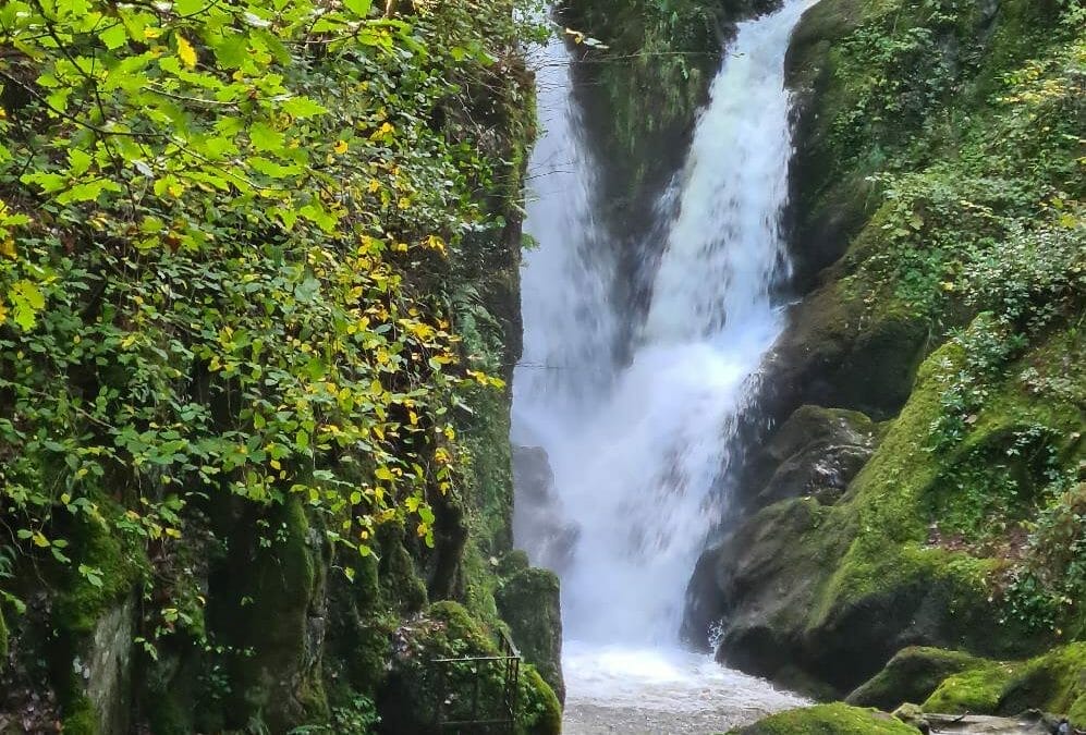 Stock Ghyll Force: a waterfall walk near Ambleside