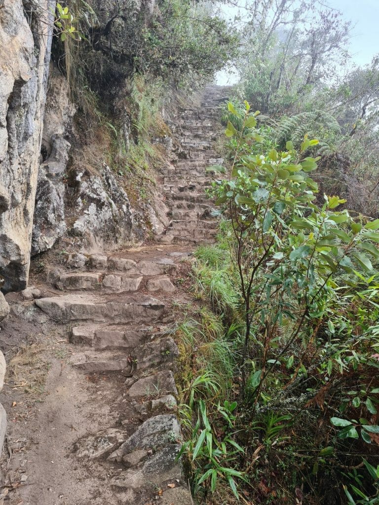 Steps on Huayna Picchu climb