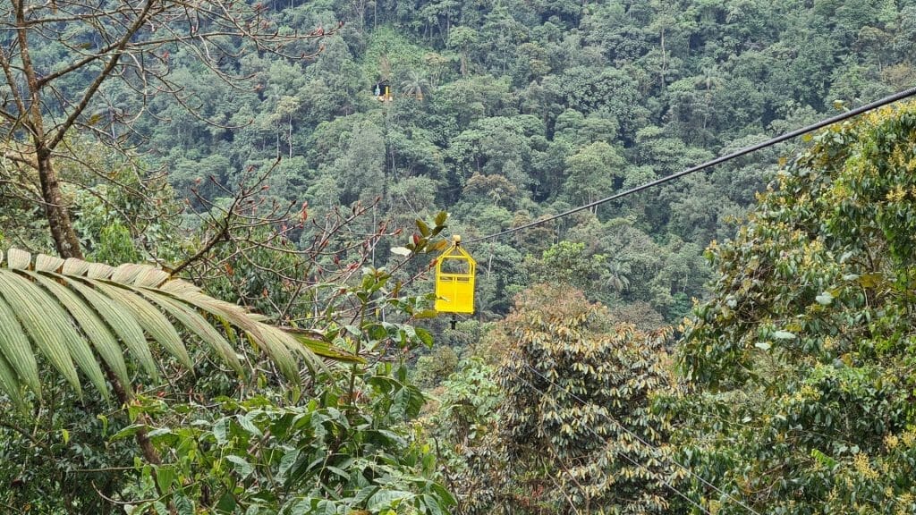 Tarabita cable car over jungle canopy