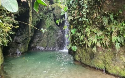 One day in Mindo – the Cloud Forest of Ecuador