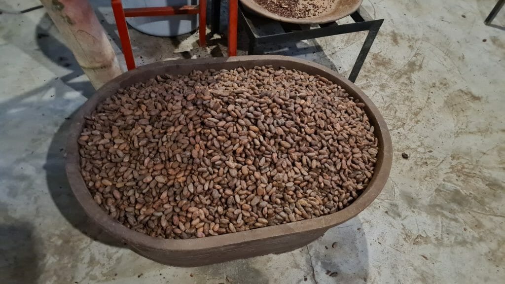 Basket of dried cocoa beans