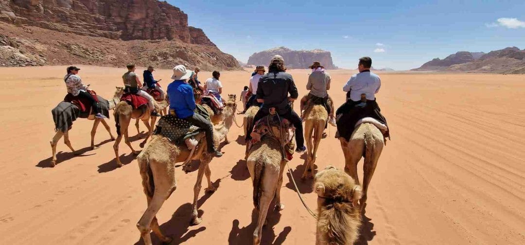 Group riding camels in desert on Wadi Rum visit