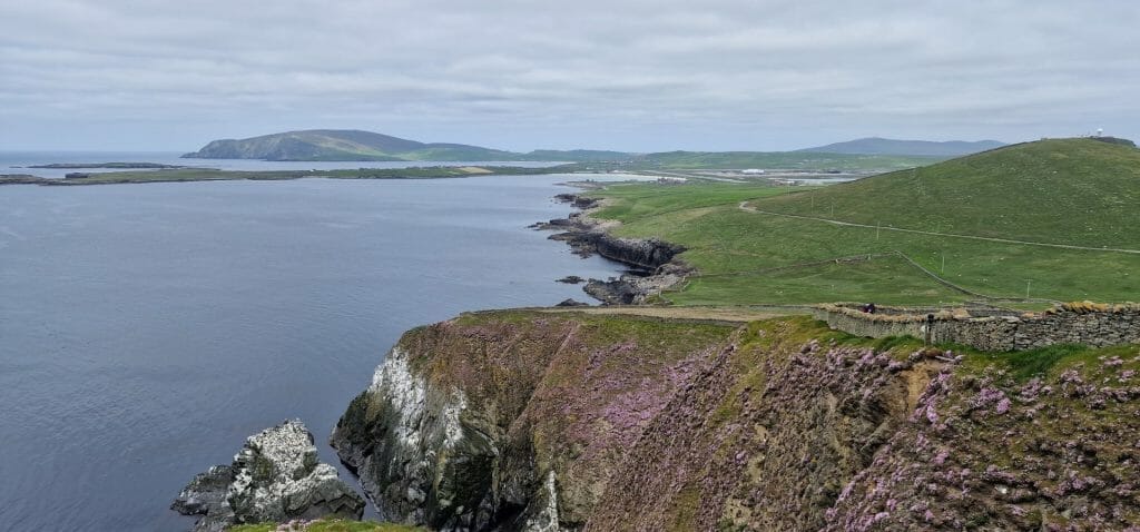 View over cliffs on Sumburgh, Shetland