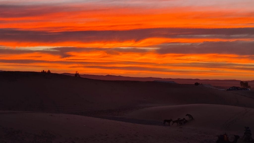 Sunsrise in the Sahara