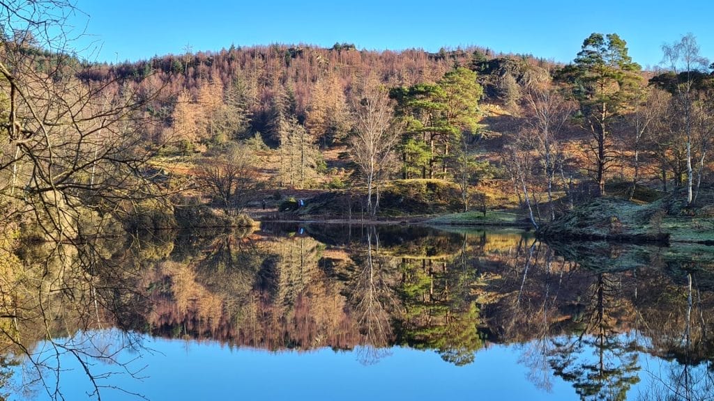 Reflection of trees in water at Tarn Hows