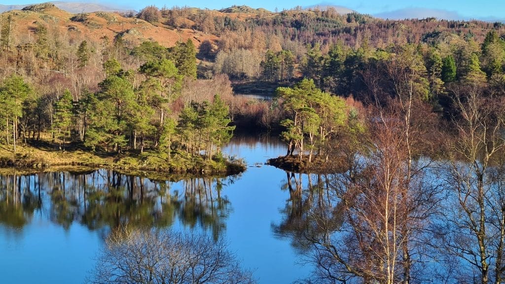Small islands with trees in Tarn Hows and reflectons in the water