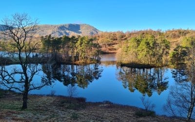 Tarn Hows: one of the best places to visit in the Lake District